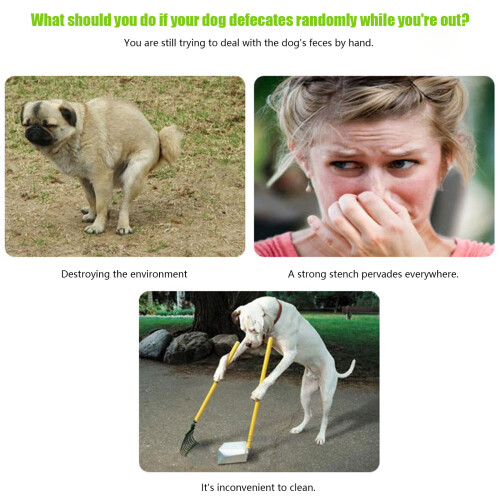 Grip Pet Dung Tool 80Cm Ideal For Back Friendly Cleaning-Purple 1