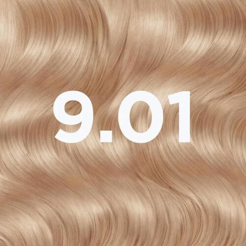 Garnier Färbung Vanille Blond Frau Garnier 9.1 2
