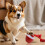 Automatic Rolling Dog Toy Chewable Squeaky Rope Ball For-Red 5