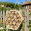 Attractive Garden Creature House produced From Water Resistant 6