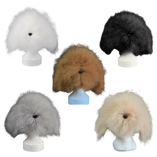 Modèle de tête de toilettage pour animaux de compagnie,-Brun 1