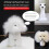 Modèle de tête de toilettage pour animaux de compagnie,-Brun 5