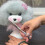 Modèle de tête de toilettage pour animaux de compagnie,-Brun 7