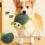 Jouet à mâcher durable pour chiens, couineur,-Vert 5