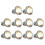 10PCS Reptile Lamp Bulb Turtle Basking UV Light Bulbs 75W 1