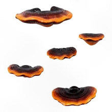 5-Piece Resin Mushroom Wall Shelf Set, Small Floating Shelves for Bedroom, Corner Decorative Shelves, Mushroom-Themed Wall Storage Solution