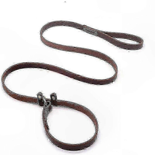 Adjustable Leather Dog Leash with Secure Slider for Training and Walking
