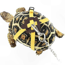 Bright Yellow Adjustable Leash and Harness for Small Pets - Outdoor Training & Walking Rope
