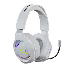 Txmfgh RGB Gaming Headset E600 for PC, PS5 & Type-C, compatible with PS4, Xbox, laptop. Noise-canceling mic, over-ear comfort.
