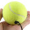 Tennis Trainer Set with 3 Rebound Balls 3