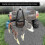 Livestock Weighing Sling for Small Animals, Durable Hanging Scale Solution 4