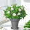 Outdoor or Indoor Flower Pots with Self-Watering Function,Gray 4