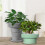Outdoor or Indoor Flower Pots with Self-Watering Function,Gray 5