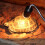 10PCS Reptile Lamp Bulb Turtle Basking UV Light Bulbs 75W 2