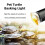 10PCS Reptile Lamp Bulb Turtle Basking UV Light Bulbs 75W 5
