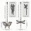 Silver Fan Pull Chain Adorned with Delicate Butterfly Darner for 4