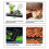 Terrarium Heating Pad for Reptiles Adjustable Temperature Warm Mat with EU Plug 20W 5