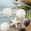 25pcs Large Scallop Shells for Crafts 4-5inch White Scallop Shells 5