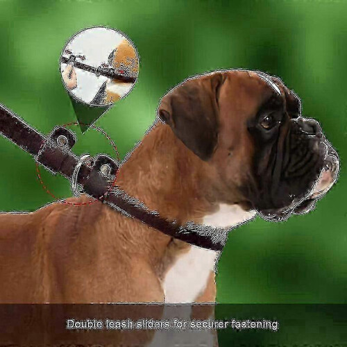 Adjustable Leather Dog Leash with Secure Slider for Training and Walking 1