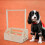 Mobiler Hundekleider Organizer Aus Holz Mit Praktischem 3