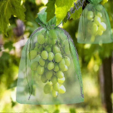 (Green, 20*30 cm) Organic Grape Protection Organza Bag - 100 Pieces Drawstring Cover 30x20cm/23x17cm