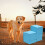 Packung mit 40 HENGDA Welpen-Damenbinden – weiß 1