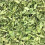 Pure Organic Natural Dried Curry Leaves Leaf 500g 6