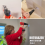 Multi System 10-in-1 Cordless Power Tool Kit with Drill, Jigsaw, Sander & Grinder 7