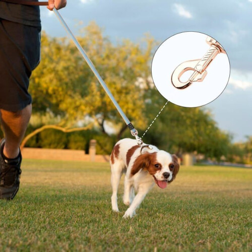 Durable 2m dog training leash, non-slip, suitable for small, medium and large dogs (blue) 1