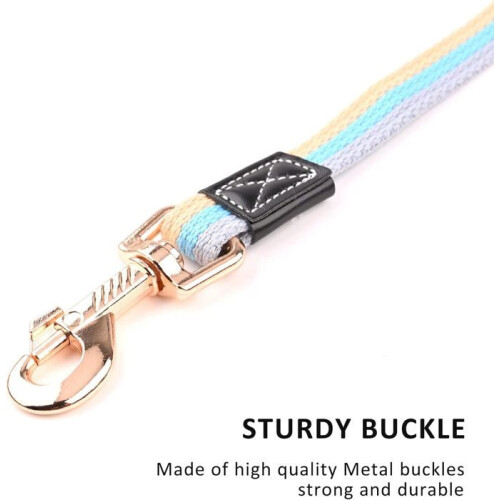 Durable 2m dog training leash, non-slip, suitable for small, medium and large dogs (blue) 2