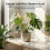 (Gold, 15x28cm) Turtle Leaf Metal Plant Stand 1