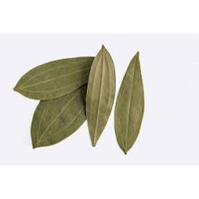 Organic 3 Veins Indian Bay Leaves Dried Leaf 100g