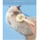 Pet Cat Hair Shedding Comb Beige 4