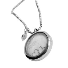 Stainless Steel Pet Hair Memorial Necklace With Openable-cat1