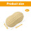 Φιστίκι Squishy, Σε σχήμα καρυδιού, αργής ανόδου αντικείμενο συμπίεσης, απαλό αι 2