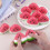 Anboor 12 τεμάχια Squishies Παιχνίδια για παιδιά με καρπούζι, μικρά, αφρώδη, αργά φο 4