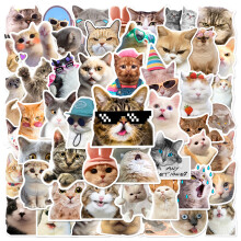 Autocollant chaton dessin animé en PVC, étiquette de-50 feuilles