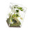 Desktop Reptielen Behuizing Tanks Observatieterrarium voor 1