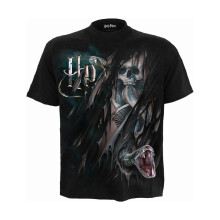Harry Potter Unisex Adult Dark Mark Back Print T-Shirt