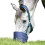 flexi (Full, Navy) Flexi Horse Grazing Muzzle 1