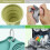 2025 Latest Model Collapsible Cup for Traveling, Silicone Foldable Cup, Camping 5