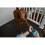 ZK-Pet foot wash cup large 1 blue 3