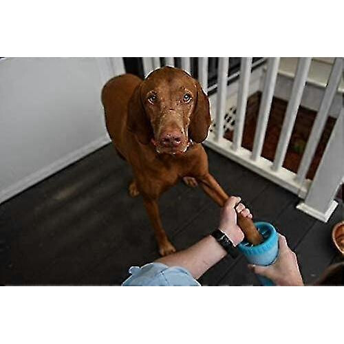 ZK-Pet foot wash cup large 1 blue 2