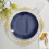 Pratos de jantar de plástico azul-marinho com borda dourada (pacote com 10) 1