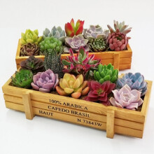 Rustic wood planter box rectangular 12x6x4 inches