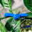 Gnobogi Bonsai Branch Shaper Plastic Blue5-Pack 1