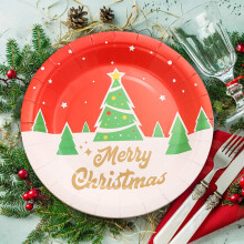 Christmas party paper plates and cups set with Santa design