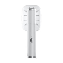 Mini Handheld Steam Iron for Home and Travel