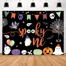 7ft x 5ft Halloween Boy Boo Photo Backdrop