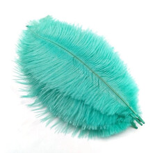 Mint Green Ostrich Feathers 20-25 cm 100 pcs